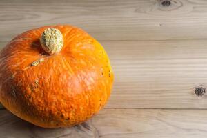 das zauberhaft Schönheit von Kürbisse ein Feier von beschwingt Farben und herbstlich Charme Erfassen das Wesen von Ernte Jahreszeit im jeder Kurve und Kontur foto