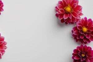 Attrappe, Lehrmodell, Simulation süß Blume auf Weiß Hintergrund ein charmant Anzeige von Blumen- Eleganz und Einfachheit foto