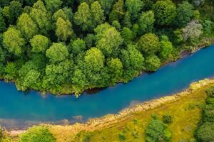 atemberaubend Landschaft Erfahrung das Schönheit von ein heiter Fluss, charmant Luft, und üppig Bäume im ein malerisch Rahmen Das fesselt das Seele und erfrischt das Geist foto