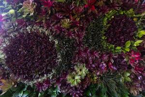 Hintergrund von schön vereinbart worden Blume und hell Farben ist Hintergrund zum Blume im schön vereinbart worden Garten beim Blume Festival. schön bunt Hintergrund mit Kopieren Raum zum Einfügen Text. foto