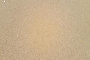 betrachtend das Schönheit von ein Strand mit natürlich Motiv Sand von über, ein heiter Küsten Aussicht foto