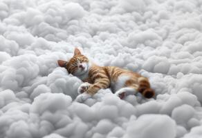 süß Katze Schlafen im das Wolke. Sanft und entspannend Tier. gemütlich Schlafen Hintergrund mit ein Katze und Weiß Wolken foto