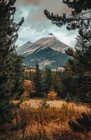 Berg Aussicht durch Bäume foto