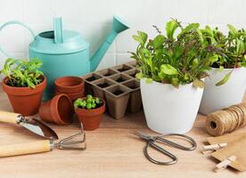 Innen- Kraut Garten Kit mit frisch Grün Pflanzen und Gartenarbeit Werkzeuge foto