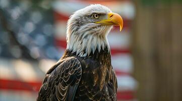 ein kahl Adler steht im Vorderseite von ein amerikanisch Flagge foto