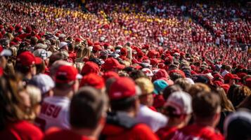 inmitten das Meer von Fans im Mannschaft Farben Nein einer ist ein Fremder jedermann ist vereinigt im ihr Liebe zum das Sport und ihr Mannschaft foto