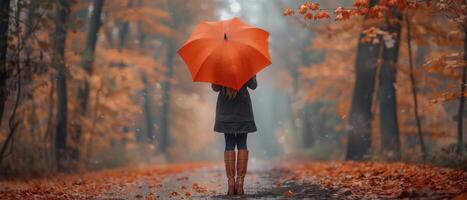 Frau Gehen durch Herbst Wald mit Regenschirm während golden Stunde foto