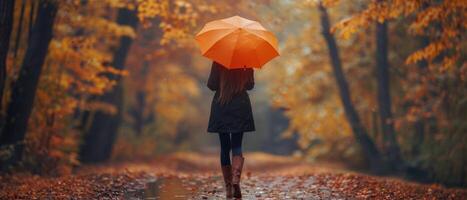 Frau Gehen durch Herbst Wald mit Regenschirm während golden Stunde foto