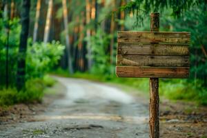 leeren Holz Straße Zeichen in der Nähe von das Wald Straße, Kopieren Raum foto