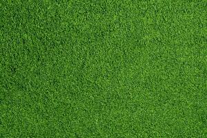 beschwingt Grün Gras Fußball Feld Hintergrund foto