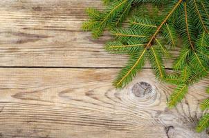 Weihnachtshintergrund, Fichtenzweige auf Holzoberfläche foto