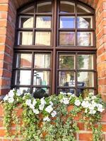 Fassaden und Fenster von mit Blumen geschmückten Gebäuden. foto