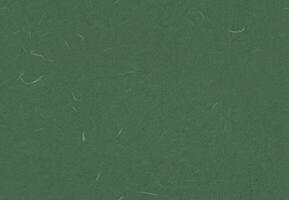 nahtlos dekorativ Reis Papier Textur zum das Hintergrund. Mineral Grün, Plantage, Stromboli, Kobold Farbe. foto