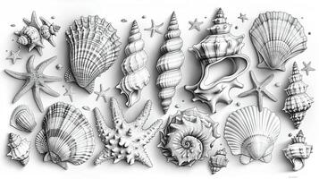 ein detailliert Gliederung Zeichnung von Muscheln und Marine Leben. foto
