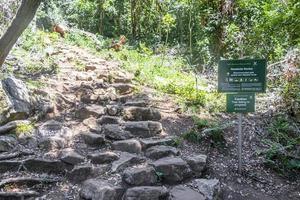 steiniger newlands-schlucht-wanderweg im tablemoutain-nationalpark.