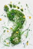 oben Aussicht Mensch Fußabdruck mit Gras und Wildblumen Textur, isoliert auf Weiß Hintergrund. Ökologie Konzept, Pflege zum das Umfeld, Natur, Frühling und Sommer- foto