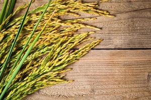 geerntetes gelbes Rip-Reisfeld auf Holztisch, Erntereis und Lebensmittelkörner-Kochkonzept foto