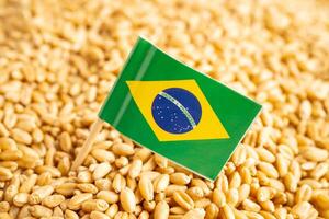 Körner Weizen mit Brasilien Flagge, Handel Export und Wirtschaft. foto