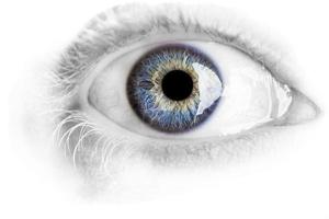 Makro blaues Auge mit vielen Details isoliert auf weiß
