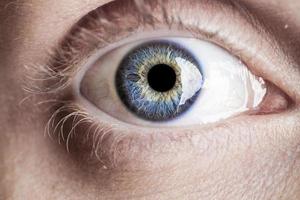 Makro blaues Auge mit vielen Details