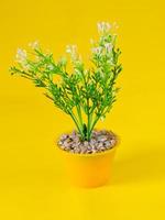 Foto von Blumen in einer schönen Vase auf gelbem Hintergrund