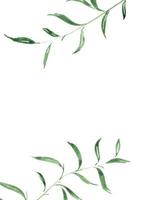 Hochzeitsschablone mit abstraktem Hintergrund. Vektorhintergrund mit grünem Blatt und weißem Hintergrund. Blatt kreativer Hintergrund mit natürlicher Blattzusammensetzung foto