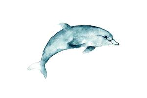 Aquarellillustration eines Buckelwals. Eine kreative handgemalte Zeichnung von Meerestieren. künstlerisches Element zum Dekorieren von nautischem Design. foto