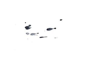 schwarze Tintenspritzer für grafische Designelemente. abstrakter Tintenstrich und Splash-Textur auf weißem Papier. handgezeichneter Illustrationspinsel für schmutzige Textur foto