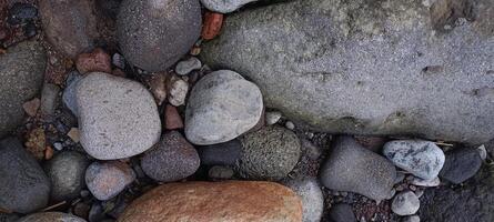 verschiedene Arten von Felsen Formen im das Fluss foto