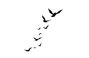 die Abbildung der fliegenden Vögel auf einem weißen Hintergrund. ein Schwarm fliegender Tiere in einem schlichten Design für ein dekoratives Element und Tattoo. foto