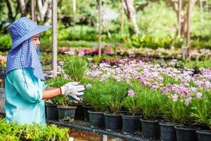 glückliche Arbeiterin asiatische Frau mit dem Pflanzen von Blumen, die sich um Blumen im Gewächshaus kümmert.