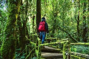 junge Männer reisen, um die Natur im Regenwald zu studieren. zu Fuß auf einer Brücke mit vielen Moosen und schön