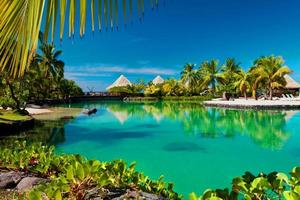 Wunderschöner tropischer Paradiesstrand mit weißem Sand und Kokospalmen auf grünem Meerespanorama.