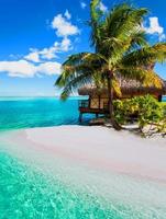 schöner tropischer paradiesstrand mit weißem sand und kokospalmen auf blauem meerpanorama.