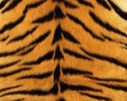 Tigerhaut Muster Textur wiederholende monochrome Textur Tierdrucke Hintergrund foto