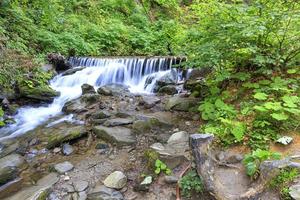 der malerische und schöne Wasserfall eines Gebirgsflusses in der Schlucht der Karpaten.