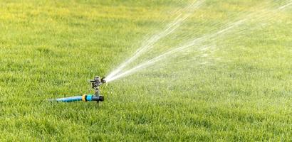 oszillierende Bewässerungssprinkler des Rasens mittags Nahaufnahme foto