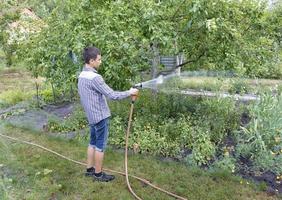 ein junger Mann macht Saisonarbeit im Garten foto