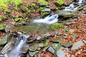 Gebirgsbach im wilden Karpatenwald im Frühjahr foto