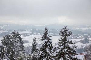 Winterkieferniederlassungen mit Schnee bedeckt vor dem Hintergrund eines kleinen Dorfes und schneebedeckter Hügel. gefrorener Ast im Winterwald. foto
