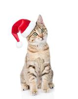 Katze sitzt in roter Weihnachtsmütze und schaut weg. isoliert auf weißem Hintergrund