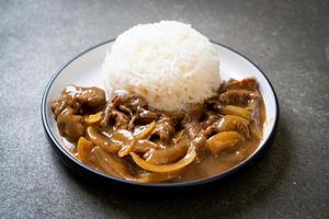 in Scheiben geschnittener Rindfleisch-Curry-Reis foto