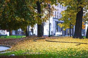 Herbst im Stadtpark foto