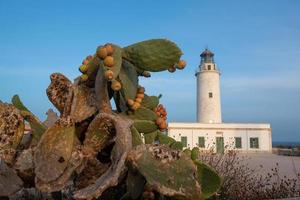 Formentera, Spanien 2021 - Leuchtturm La Mola, Baujahr 1961 foto