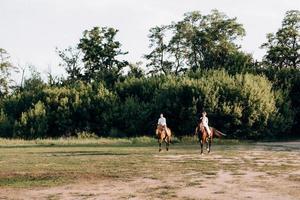 Mädchen in einem weißen Sommerkleid und ein Typ in einem weißen Hemd auf einem Spaziergang mit braunen Pferden foto