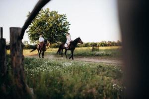 Mädchen in einem weißen Sommerkleid und ein Typ in einem weißen Hemd auf einem Spaziergang mit braunen Pferden foto