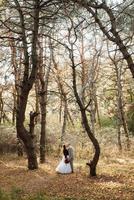 Spaziergang des Brautpaares durch den Herbstwald foto