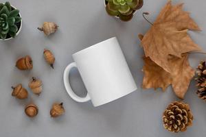 Modell einer weißen Tasse und Eicheln auf weißem Hintergrund foto