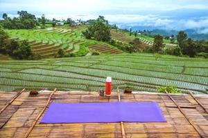 Reisen Relax Yoga auf dem Balkon des Resorts in Papongpieng. Blick auf die Feldreislandschaft in der Regenzeit. Chiangmai in Thailand.