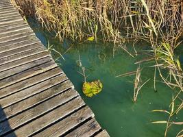 Fußgängerweg von Holzbohlen zum See. foto